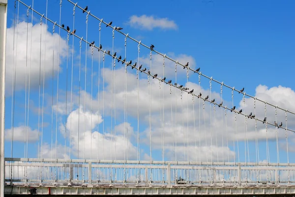 Witte brug — Stockfoto