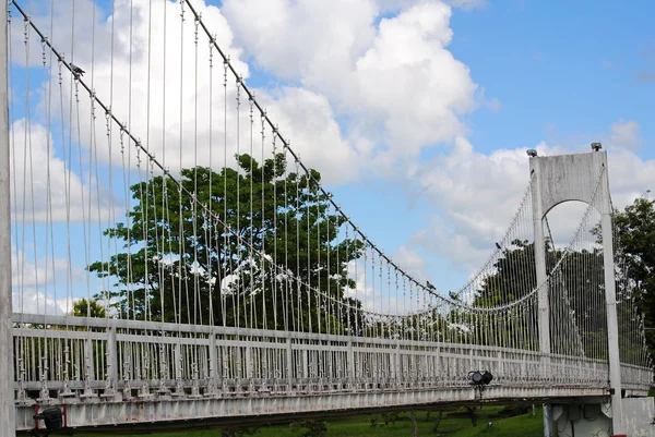 Weiße Brücke — Stockfoto