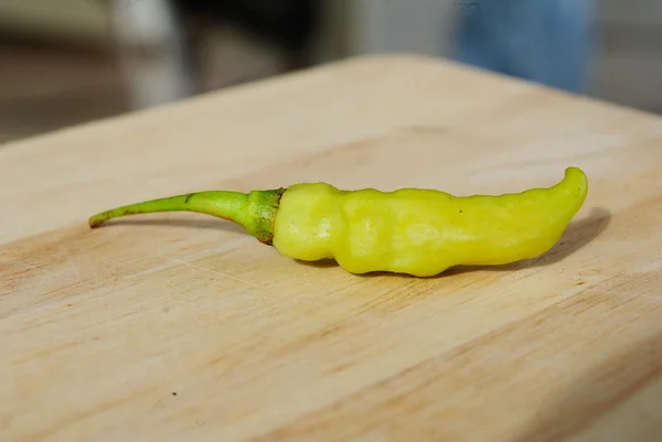 Chilli peppers — Stock Photo, Image