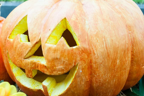 Halloween-Kürbis . — Stockfoto