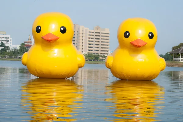 Pato de borracha — Fotografia de Stock