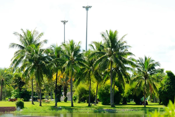 Grüner Park — Stockfoto