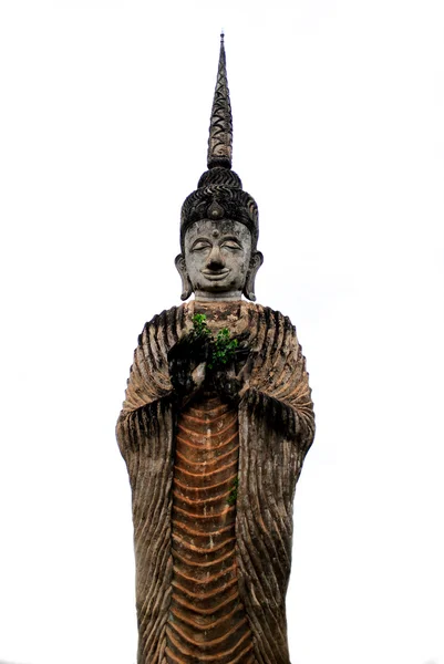 Buddha — Foto Stock