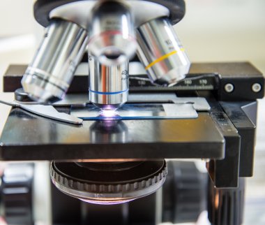 bilimsel biyolojik mikroskop.