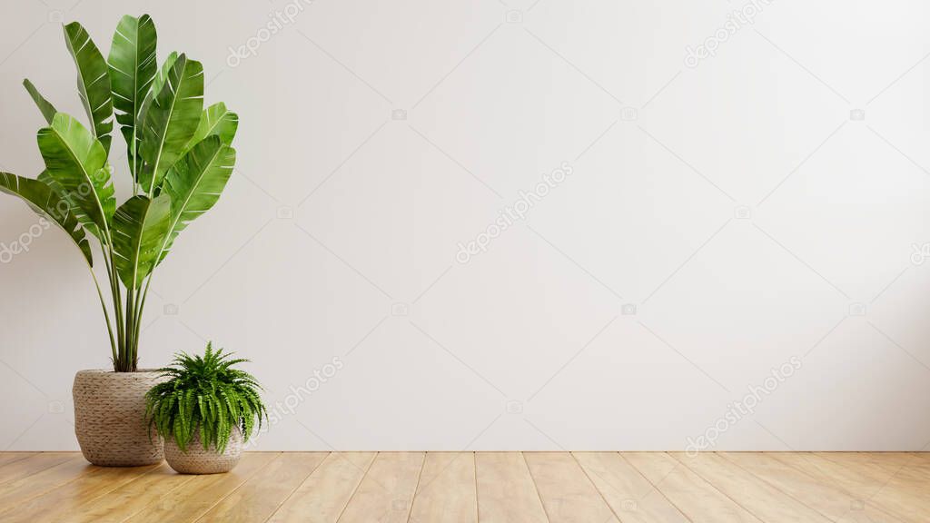 White wall empty room with plants on a floor,3D rendering