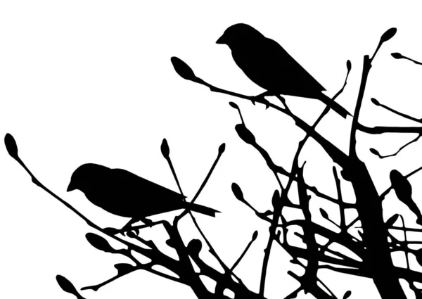 白地に黒の木の鳥二羽のシルエット — ストック写真