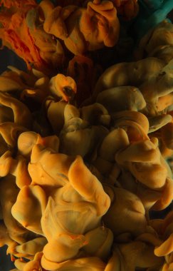 Suyun altında renkli mürekkep. Sanatsal soyut tasarım siyah arkaplanda izole edildi.