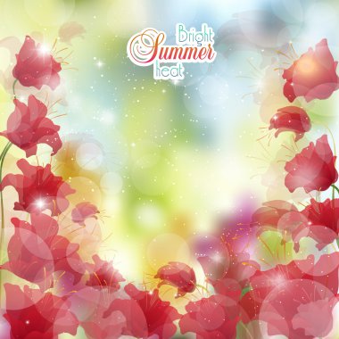 Yaz güneşli arka planını çiçekler