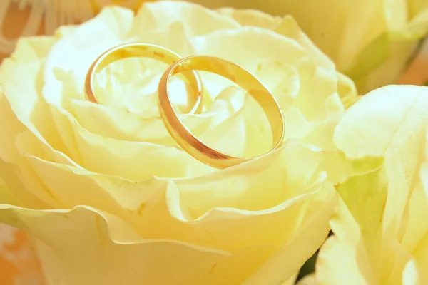 Bouquet of white roses — Stock Photo, Image