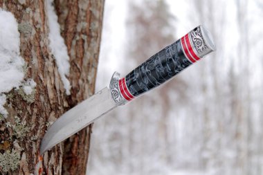 çam ağacı sıkışmış eski av bıçağı