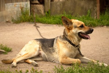Español casa en el campo.