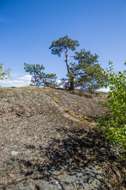 Orman Granit kayalar ve kanyonlar