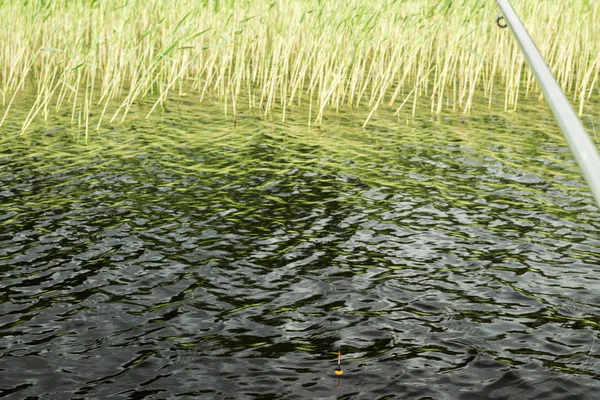 Pêche, paysage de pêche sur le rivage — Photo