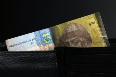 Ukrayna Hryvnia 'sı