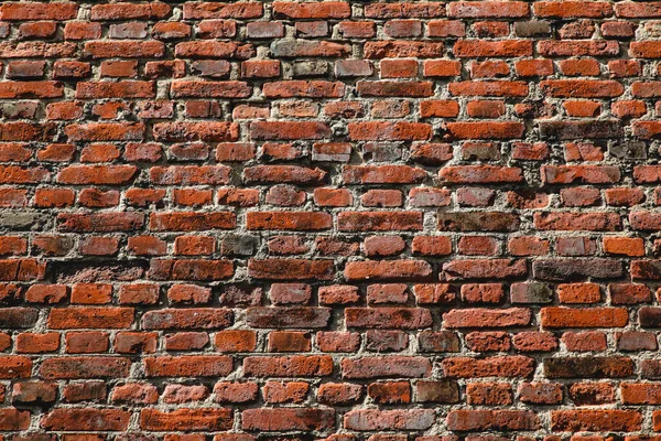 brick wall in bright sun, background toned