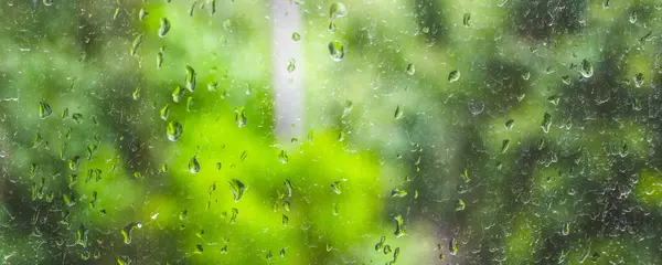 raindrops on glass, greenery blurry on background