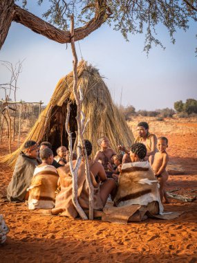 San bushmen ailesi insanlara Namibya 'daki Kalahari çölünün bir köyünde nasıl yaşadıklarını gösteriyor..