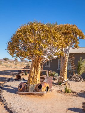 Terk edilmiş araba, Fish River Kanyonu, Canyon Roadhouse 'da..