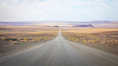Richtersveld Transfrontier Parkı 'ndaki Namibya' nın çakıl yolları..