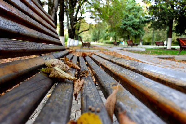 Herbstlaub auf einer Parkbank. Nahaufnahme einer Bank in einem Park, der im Herbst von umgefallenen Blättern umgeben ist — Stockfoto