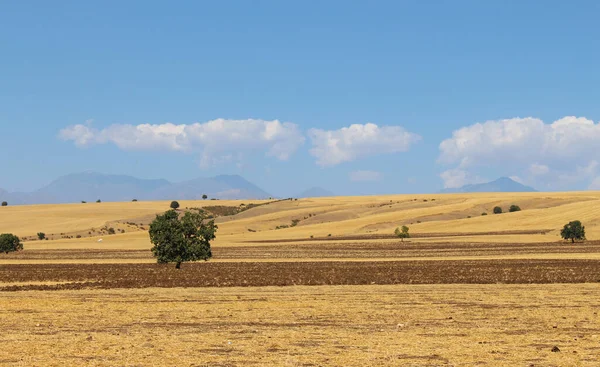 Paisagem de outono da natureza do Azerbaijão. Campo agrícola após a colheita de cereais — Fotografia de Stock