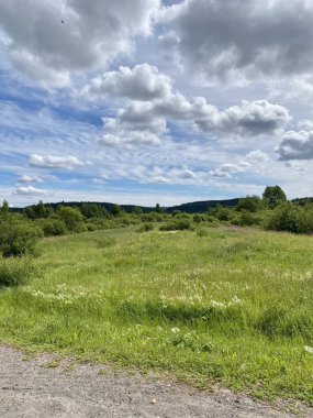 Yaz ormanında ıssız bir yol, mavi gökyüzü, yeşil çimenler, ağaçlar.