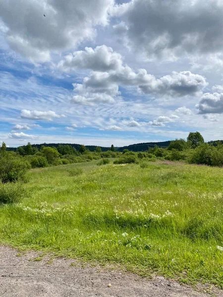 Yaz ormanında ıssız bir yol, mavi gökyüzü, yeşil çimenler, ağaçlar.