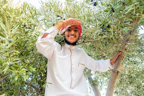 Muslim Guy Enjoying Weather Sun Olive Farm — Stock Photo, Image