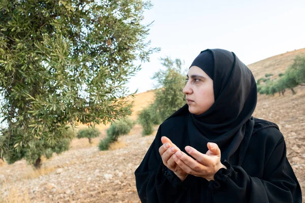 Moslimvrouw Biddend Naast Olijfboom Voor Gods Zegen — Stockfoto