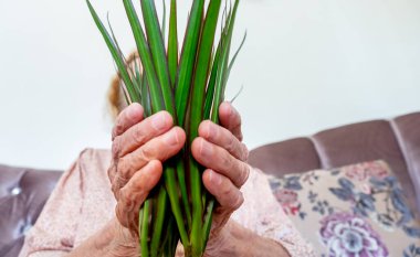 Çiçekleri elleriyle tutan yaşlı kadın.