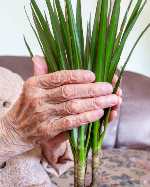 Çiçekleri elleriyle tutan yaşlı kadın.