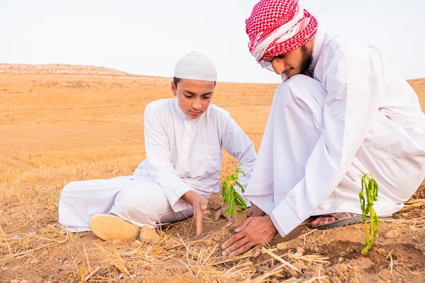 Muslimska Människor Planterar Växter Öknen — Stockfoto