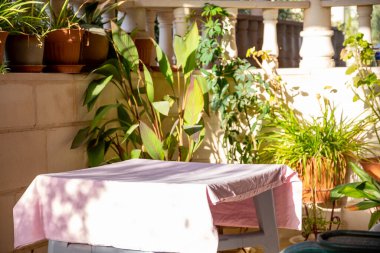 Rahat manzaralı güzel bir bahçe.