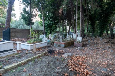 Mezar taşlarına odaklanan eski İslam mezarlığı