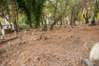 Mezar taşlarına odaklanan eski İslam mezarlığı