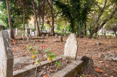 Mezar taşlarına odaklanan eski İslam mezarlığı