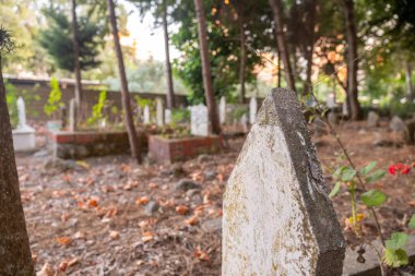 Mezar taşlarına odaklanan eski İslam mezarlığı