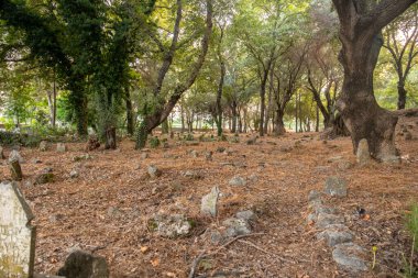 Mezar taşlarına odaklanan eski İslam mezarlığı