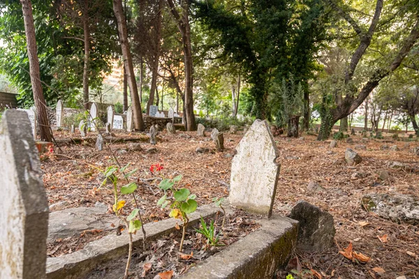 Mezar taşlarına odaklanan eski İslam mezarlığı