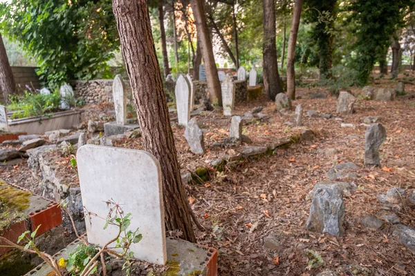 Mezar taşlarına odaklanan eski İslam mezarlığı