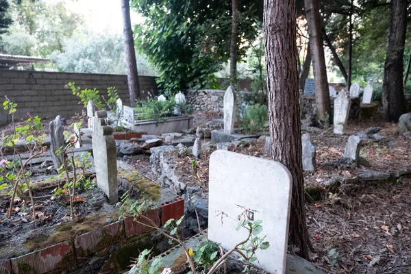 Mezar taşlarına odaklanan eski İslam mezarlığı