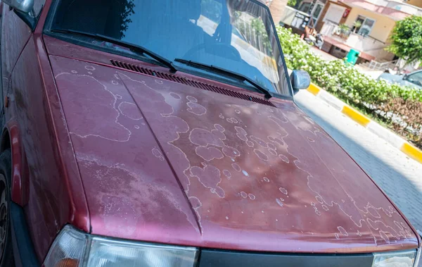 Sabun, güneş ve nemden etkilenen eski araba boyası