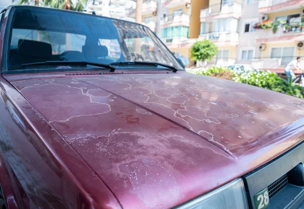 Sabun, güneş ve nemden etkilenen eski araba boyası