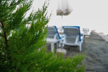 Deniz kenarındaki kumlu sahilde sandalyeler