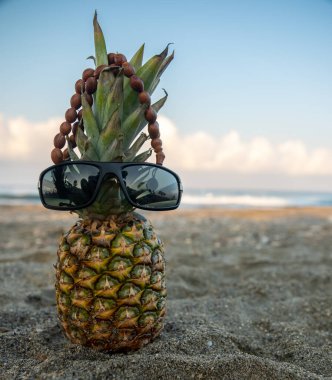 Sahilde organik ananas.