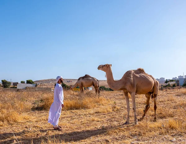 Man Zijn Kameel Genieten Van Hun Tijd Het Dorp — Stockfoto