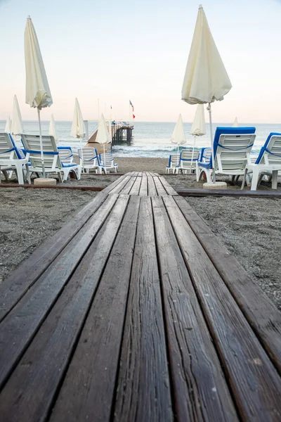 Strada Boschiva Verso Oceano Vicino Alla Strada Sedie Blu — Foto Stock