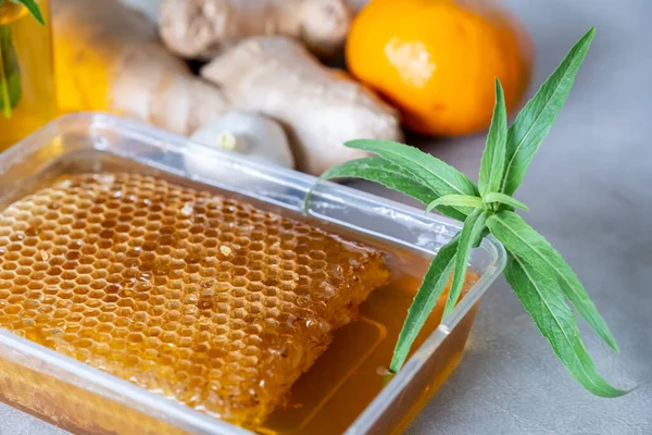 Mixtures Honey Ginger Garlic Useful Cold Refreshing Body — Stock Photo, Image