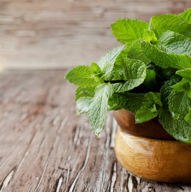 Seçici odak ahşap bir kapta taze nane