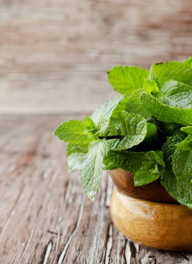 Seçici odak ahşap bir kapta taze nane